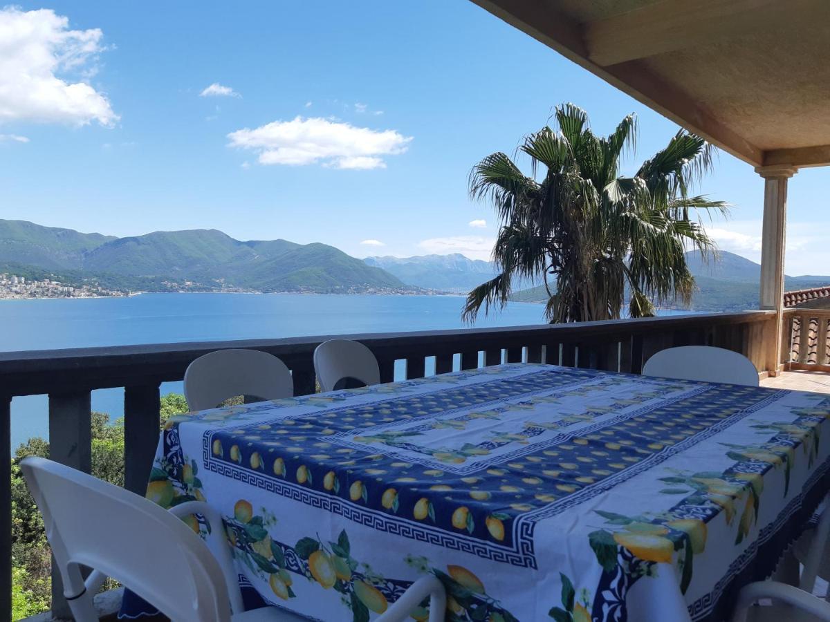 Villa Garden Apartments ヘルツェグ・ノヴィ エクステリア 写真