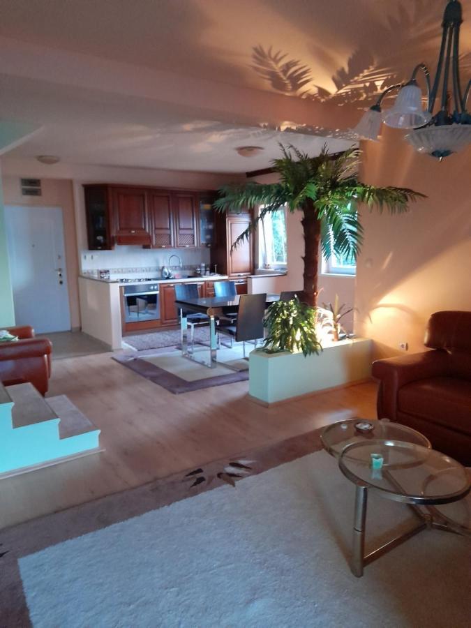 Villa Garden Apartments ヘルツェグ・ノヴィ エクステリア 写真